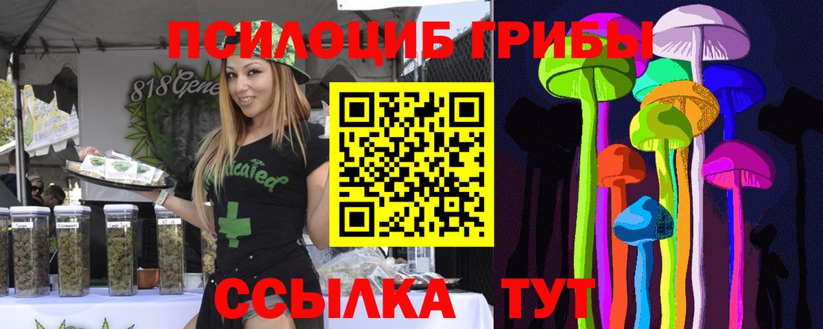 Псилоцибиновые грибы Magic Shrooms Менделеевск